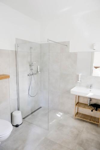 a bathroom with a shower and a toilet and a sink at Kaiser's Hof in Strass