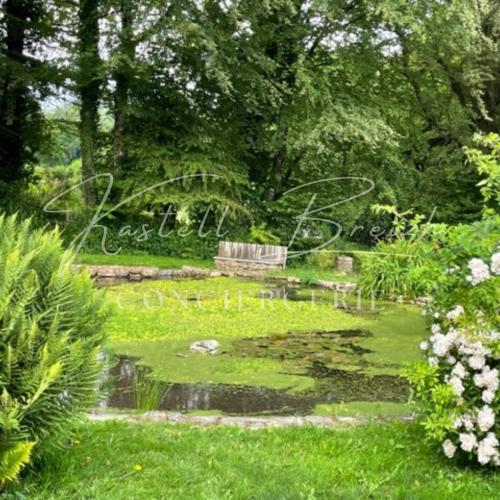 a park with a bench in the middle of a pond at Le Cocon du manoir de Kerollivier in Saint-Gilles-Pligeaux