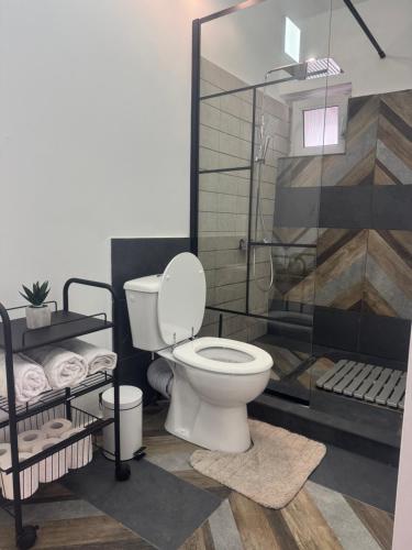 a bathroom with a toilet and a shower at Compact House in Cluj-Napoca