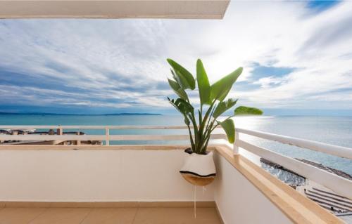 a plant sitting on a balcony overlooking the ocean at Premium Beachfront Residences in Durrës