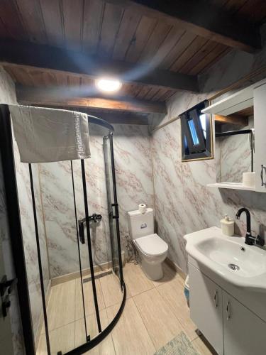 a bathroom with a shower and a toilet and a sink at Varuna Bungalov Evleri in Sapanca