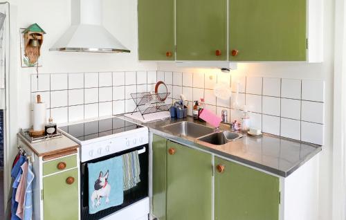 a kitchen with green cabinets and a sink at 2 Bedroom Cozy Home In Skruv in Skruv