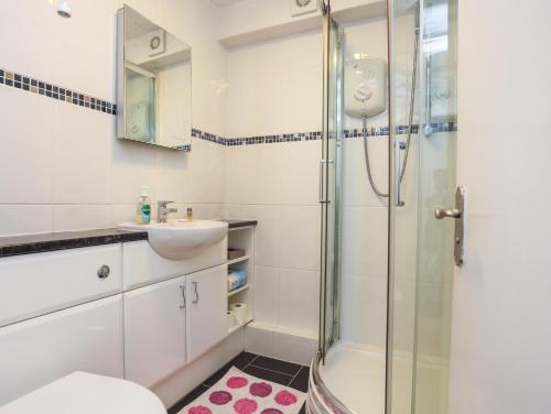 66D South Snowdon Wharf في بورثمادوج: حمام مع دش ومغسلة ومرحاض