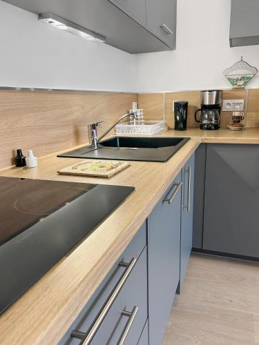 une cuisine avec un évier et un plan de travail dans l'établissement Balcon privé & déco élégante, au Mans