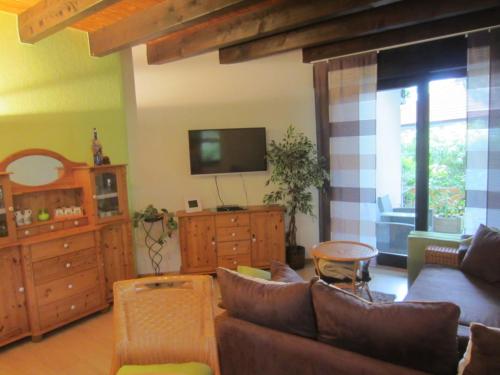 a living room with a couch and a tv at FeWo im Studio Wintergarten in Kallstadt