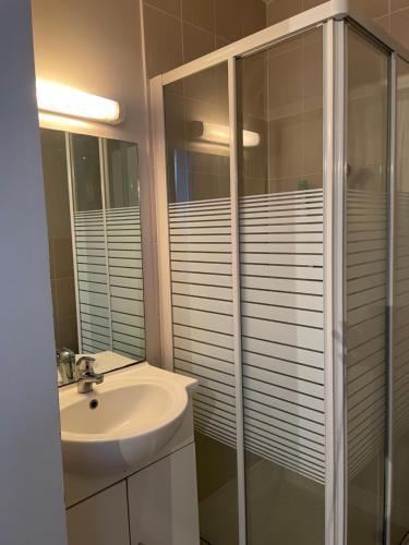 une salle de bain avec un lavabo et une douche en verre dans l'établissement Appartement derrière la gare Laval, à Laval