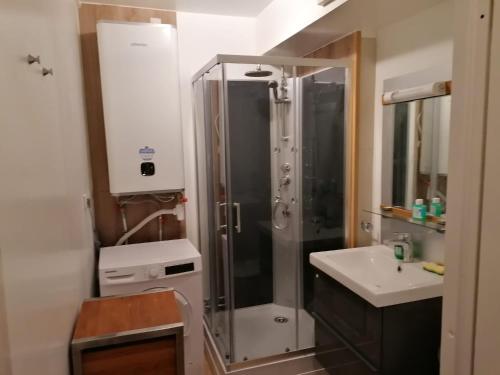 une salle de bain avec douche et lavabo dans l'établissement Appt Rouen Centre St Marc-possibilité de parking, à Rouen