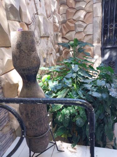 a stone vase sitting next to a green plant at Chez Ousmane Fall ASECNA in Saint-Louis