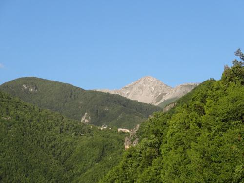 a mountain covered in green trees with a mountain in the background at Villa Fontitune in Picinisco