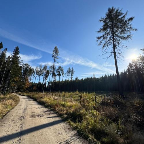 a dirt road in a field with a tree at Farma Kalhov in Kalhov