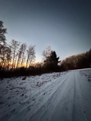 a snow covered road in a field with trees at Farma Kalhov in Kalhov