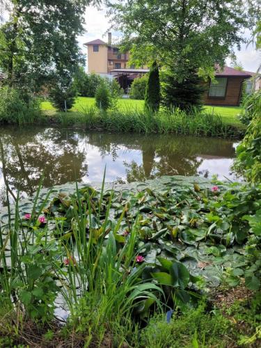 a pond with lily pads in a garden at Hanul Lui Bogdan Economy INN in Făget