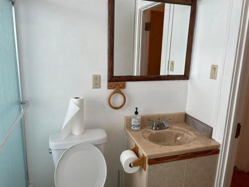 a bathroom with a toilet and a sink and a mirror at First Floor Room 8 min from Cle Airport Quiet Street All you need in 1st District Police Station Heliport