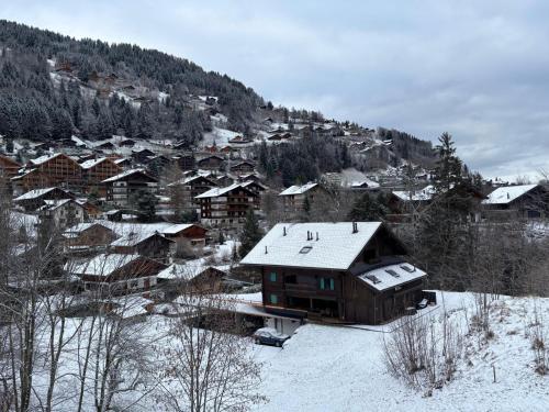 Mountain apartment in Port de Soleil Champery