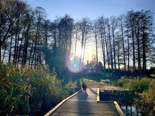 a person walking down a wooden boardwalk with the sun shining at Ostoja Leśniewo in Srokowo