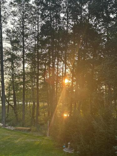 a sun shining through the trees in a field at Ostoja Leśniewo in Srokowo
