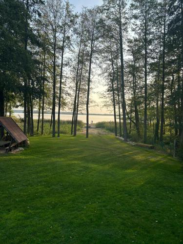 a park with trees and a bench in the grass at Ostoja Leśniewo in Srokowo