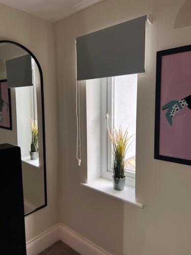 a bathroom with a mirror and a window with plants at Church Mews Central Townhouse West Hoe Plymouth in Plymouth