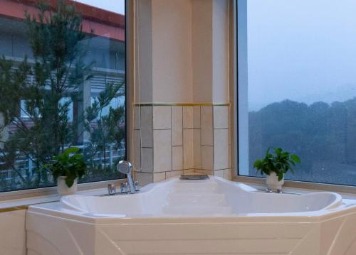 a bathroom sink with two potted plants in front of a window at Khách Sạn Sunrise Đà Lạt in Ấp Ða Lợi
