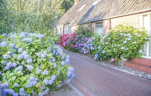 a garden of purple and white flowers next to a building at Gorgeous Home In Diever With Wifi in Diever