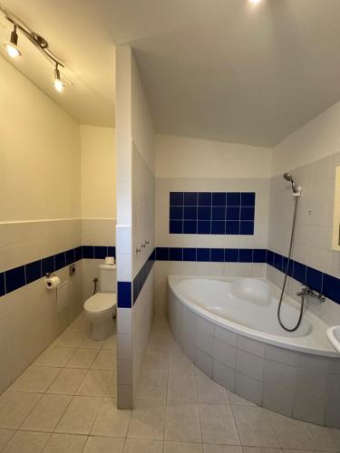 a large bathroom with a tub and a toilet at Penzion 4 Dvory in České Budějovice