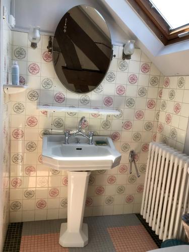 une salle de bain avec un lavabo et un miroir dans l'établissement Gite La Plume de Vallombreuse, à Bransles