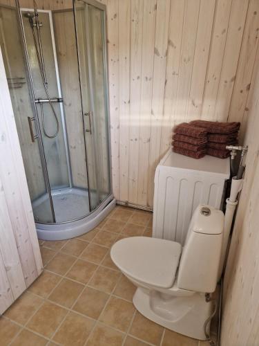 a bathroom with a toilet and a glass shower at Arctic Cabin - Mellomgaard on southern Kvaløya #sauna & bbq hut on site! in Tromsø