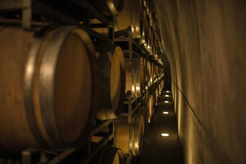 a row of wine barrels in a wine cellar at UCO APARTS, tu refugio en el corazón de los Andes in Tupungato