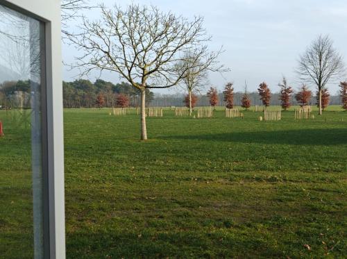 Zahrada ubytování Camping POD 3 persoons Lindershoeve Bergeijk