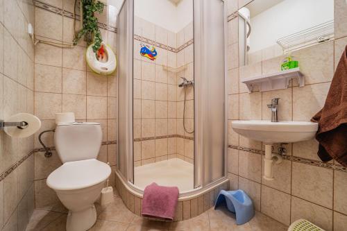 a bathroom with a shower and a toilet and a sink at Penzion Šumavous in Vimperk