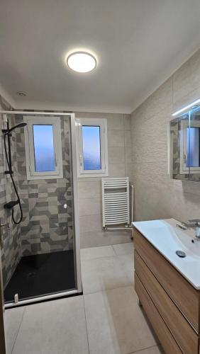 a bathroom with a shower and a sink at Maison avec 3 chambres et jardin in Saint-Estève