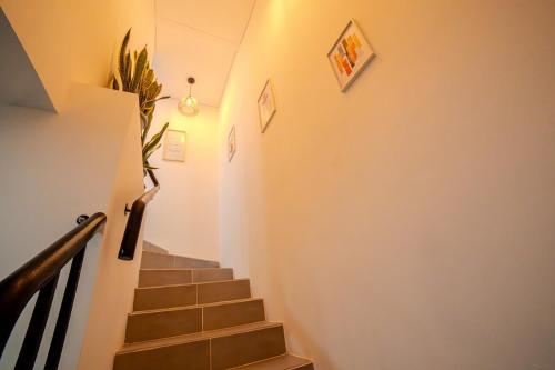 a staircase with a potted plant on the wall at Espectacular Casa de Ensueño "Jacuzzi Privado" en Ricaurte - Peñalisa in Ricaurte