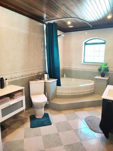 a bathroom with a toilet and a tub and a sink at Casa Picamilho in Porto de Mós