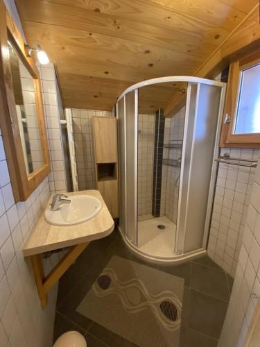 La petite salle de bains est pourvue d'une douche et d'un lavabo. dans l'établissement Chalet Le Castor : dans le centre de Chatel, à Châtel