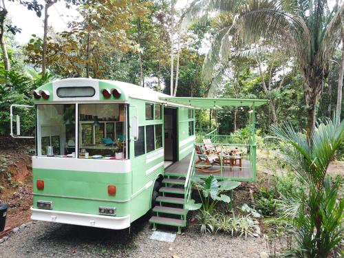 a green and white bus parked in a yard at Jungle Bus, 5 min drive to PlayaLinda, 15 to Dominical, Wifi Starlink in Quepos