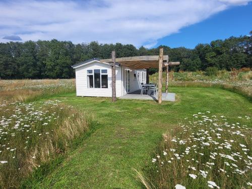 a small white shed in a field of grass at Hoeve Twente - De Bonte Specht in Heythuysen