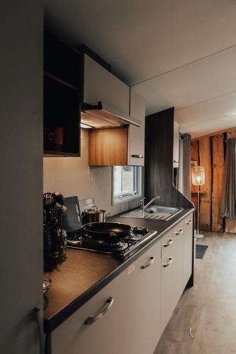a kitchen with a stove and a counter top at Hoeve Twente - De Bonte Specht in Heythuysen