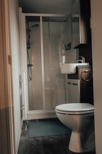 a bathroom with a shower and a toilet and a sink at Hoeve Twente - De Bonte Specht in Heythuysen