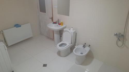 a white bathroom with a toilet and a sink at Tskaltubo-house in Tskaltubo