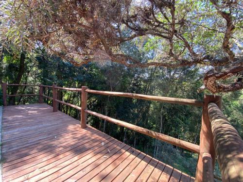 a wooden boardwalk in a forest with a tree at Pousada Sotaque Mineiro in Cunha