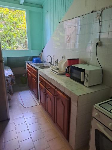 a kitchen with a sink and a microwave on a counter at Appartement de type T4 in Capesterre