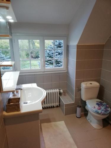 une salle de bain avec un lavabo et des toilettes dans l'établissement Domaine de la Ferme de Mont, à Mormant
