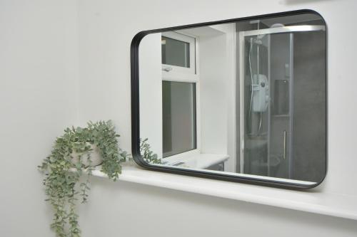 a mirror on a white shelf with a plant at Stay at Shobnall Road Rooms and Studios Burton in Burton upon Trent