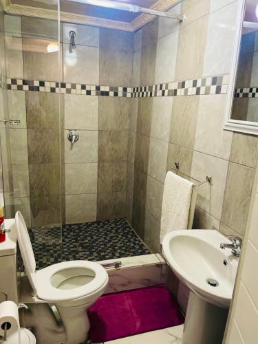 a bathroom with a shower and a toilet and a sink at Destiny B&B in Queenstown