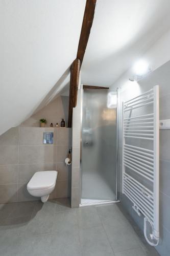 a bathroom with a toilet and a shower at Avama - apartmány Srní in Srní