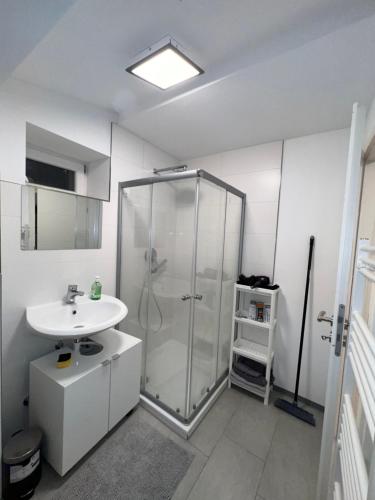 a bathroom with a shower and a sink at Natur pur Amelie in Kraiburg am Inn