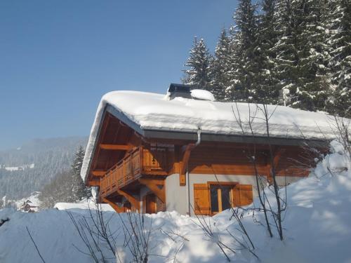 Chalet le Cerf : dans le centre de Châtel