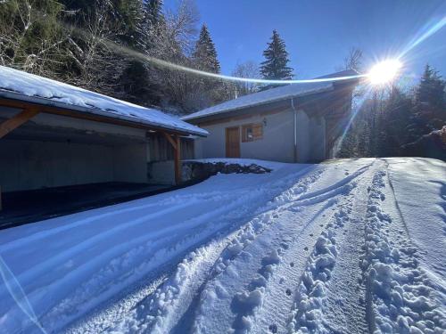 Chalet le Cerf : dans le centre de Châtel