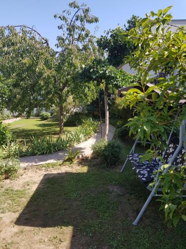 a row of benches in a garden with trees at Klára apartman in Sárospatak
