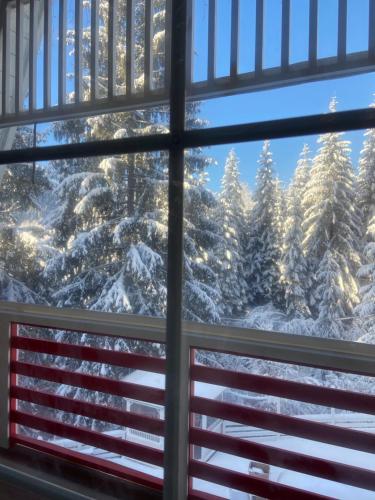 Двоповерховий апартамент у котеджі Freeman-4b з альтанкою та грилем v zimě